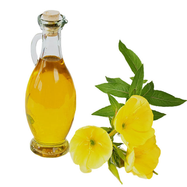 Evening Primrose Oil Virgin Organic 10% GLA - Soap supplies,Soap supplies Canada,Soap supplies Calgary, Soap making kit, Soap making kit Canada, Soap making kit Calgary, Do it yourself soap kit, Do it yourself soap kit Canada,  Do it yourself soap kit Calgary- Soap and More the Learning Centre Inc