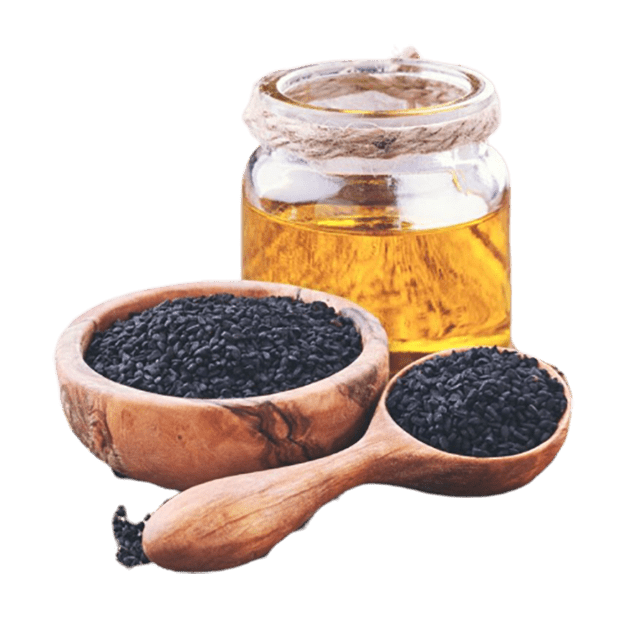 Black Cumin Seed Oil Virgin - Soap supplies,Soap supplies Canada,Soap supplies Calgary, Soap making kit, Soap making kit Canada, Soap making kit Calgary, Do it yourself soap kit, Do it yourself soap kit Canada,  Do it yourself soap kit Calgary- Soap and More the Learning Centre Inc