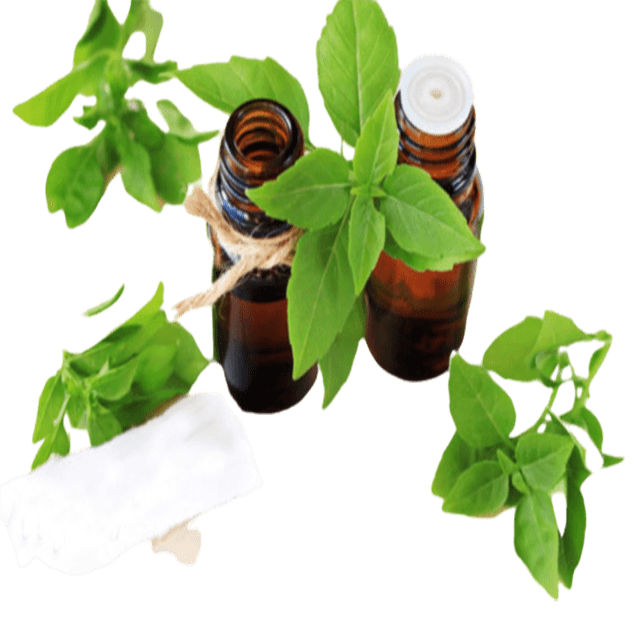 Doterra tools discount canada