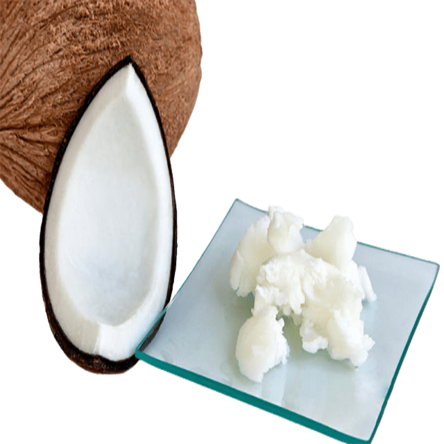 Coconut Oil Refined Solid 76°