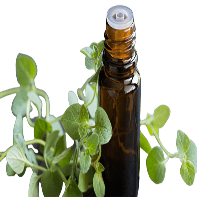 Doterra tools online canada