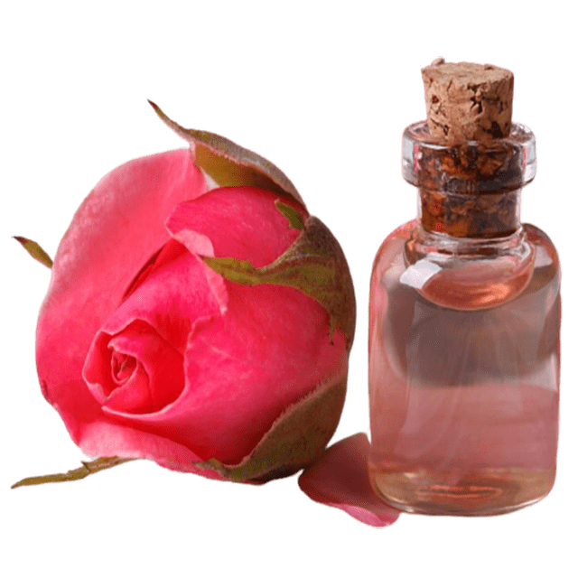 Rose Hydrosol Organic - Soap supplies,Soap supplies Canada,Soap supplies Calgary, Soap making kit, Soap making kit Canada, Soap making kit Calgary, Do it yourself soap kit, Do it yourself soap kit Canada,  Do it yourself soap kit Calgary- Soap and More the Learning Centre Inc