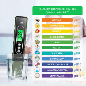 PH Meter