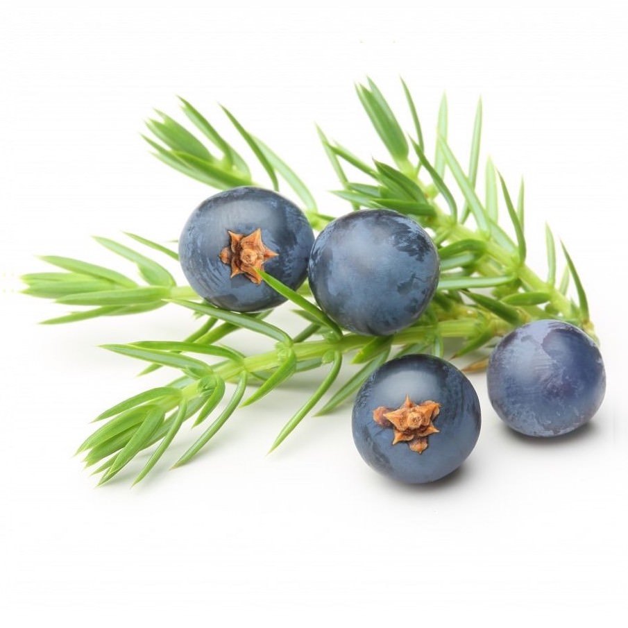 Juniper Berry Essential Oil Discontinued