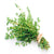 Thyme White Essential Oil