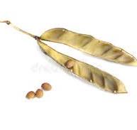 Lupine Seed Oil