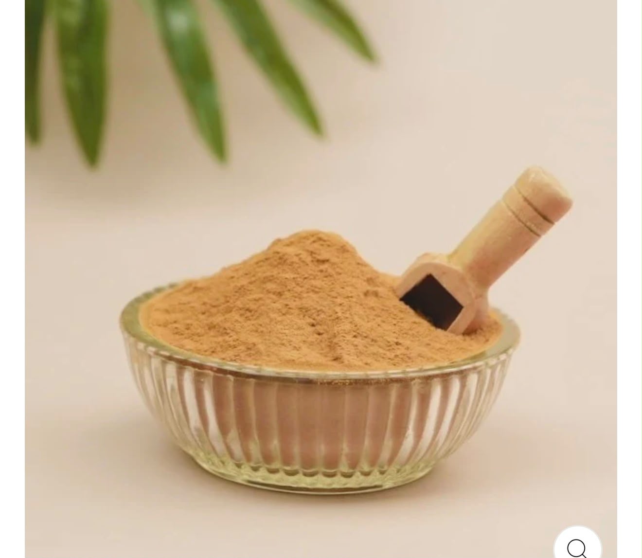 Rosehip Extract 4X Powder