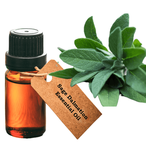 Doterra tools discount canada