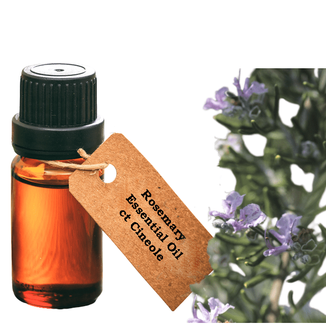 Rosemary Essential Oil ct Cineole - Soap supplies,Soap supplies Canada,Soap supplies Calgary, Soap making kit, Soap making kit Canada, Soap making kit Calgary, Do it yourself soap kit, Do it yourself soap kit Canada,  Do it yourself soap kit Calgary- Soap and More the Learning Centre Inc