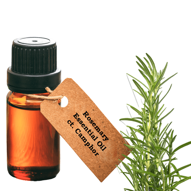 Rosemary Essential Oil ct Camphor - Soap supplies,Soap supplies Canada,Soap supplies Calgary, Soap making kit, Soap making kit Canada, Soap making kit Calgary, Do it yourself soap kit, Do it yourself soap kit Canada,  Do it yourself soap kit Calgary- Soap and More the Learning Centre Inc