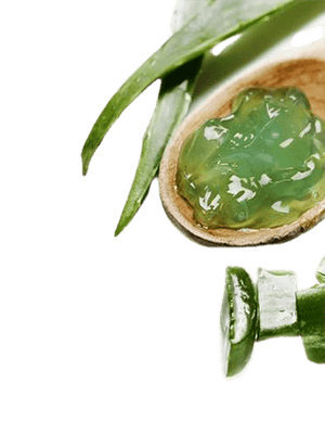 Aloe Vera Gel Organic Extra Strength - Soap supplies,Soap supplies Canada,Soap supplies Calgary, Soap making kit, Soap making kit Canada, Soap making kit Calgary, Do it yourself soap kit, Do it yourself soap kit Canada,  Do it yourself soap kit Calgary- Soap and More the Learning Centre Inc