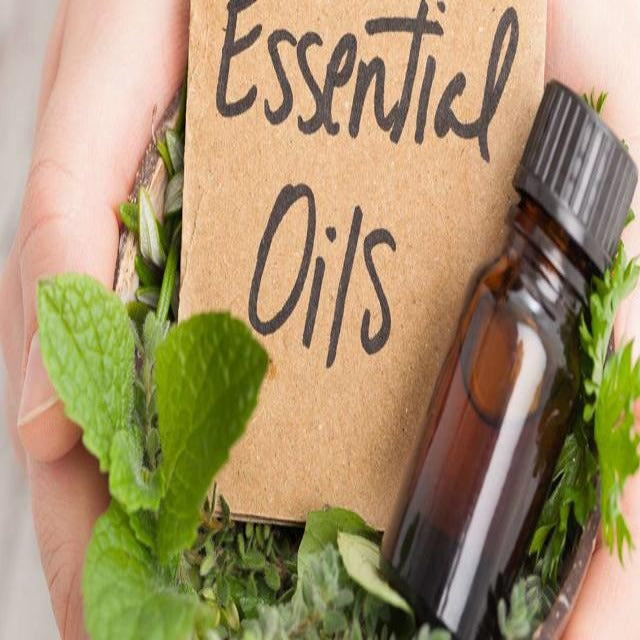 Muscle Cold & Flu Essential Oil Blend - Soap supplies,Soap supplies Canada,Soap supplies Calgary, Soap making kit, Soap making kit Canada, Soap making kit Calgary, Do it yourself soap kit, Do it yourself soap kit Canada,  Do it yourself soap kit Calgary- Soap and More the Learning Centre Inc