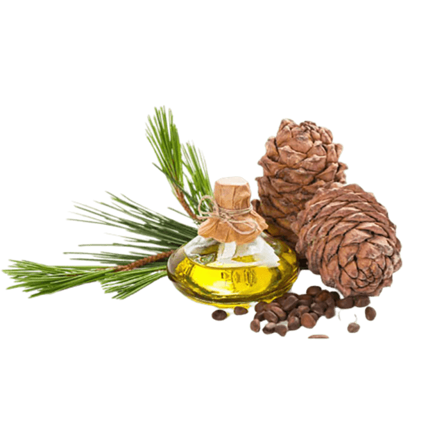 Cedarwood Himalayan Essential Oil - Soap supplies,Soap supplies Canada,Soap supplies Calgary, Soap making kit, Soap making kit Canada, Soap making kit Calgary, Do it yourself soap kit, Do it yourself soap kit Canada,  Do it yourself soap kit Calgary- Soap and More the Learning Centre Inc