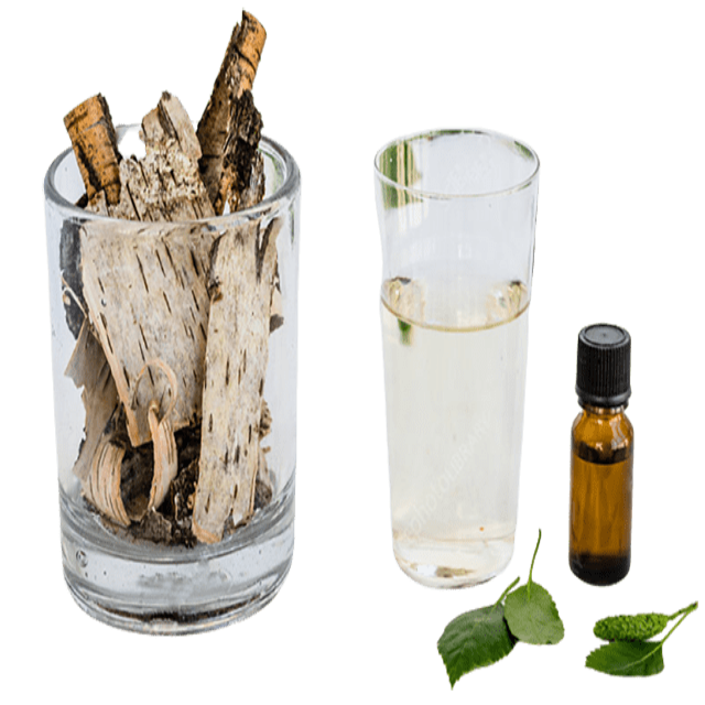 Birch Bark, Sweet Essential Oil - Soap supplies,Soap supplies Canada,Soap supplies Calgary, Soap making kit, Soap making kit Canada, Soap making kit Calgary, Do it yourself soap kit, Do it yourself soap kit Canada,  Do it yourself soap kit Calgary- Soap and More the Learning Centre Inc