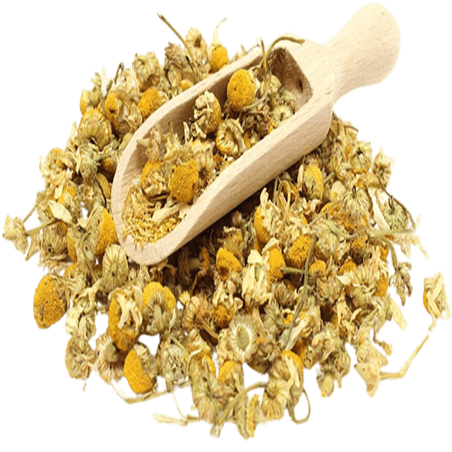 Chamomile Flowers Egyptian Pesticide Free Grade A - Soap supplies,Soap supplies Canada,Soap supplies Calgary, Soap making kit, Soap making kit Canada, Soap making kit Calgary, Do it yourself soap kit, Do it yourself soap kit Canada,  Do it yourself soap kit Calgary- Soap and More the Learning Centre Inc