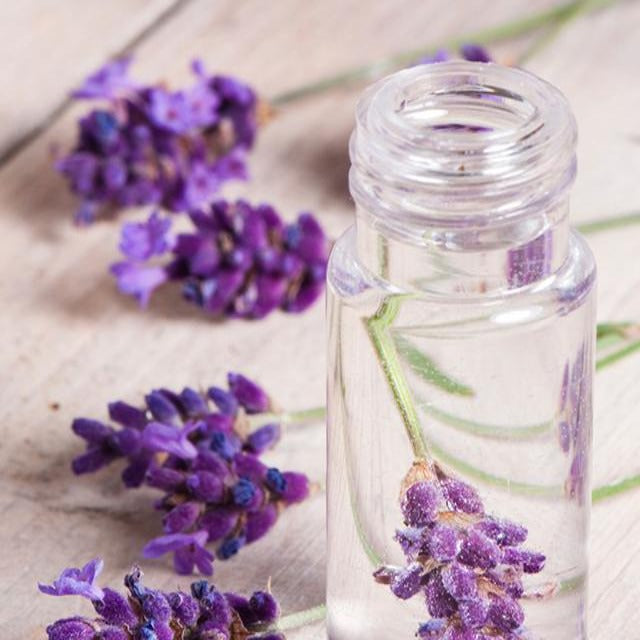 lavender flower water Lavender floral water