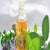 Borage Seed Oil 18% GLA Organic