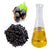 Black Currant Oil 14% GLA