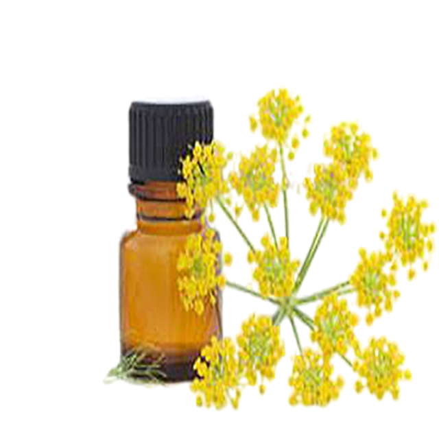 Fennel, Sweet Essential Oil - Soap supplies,Soap supplies Canada,Soap supplies Calgary, Soap making kit, Soap making kit Canada, Soap making kit Calgary, Do it yourself soap kit, Do it yourself soap kit Canada,  Do it yourself soap kit Calgary- Soap and More the Learning Centre Inc