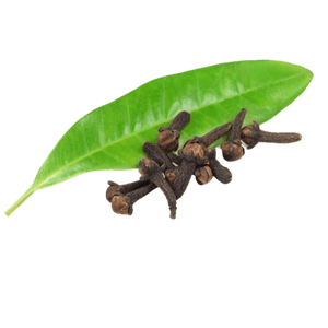 Clove Leaf Essential Oil - Soap supplies,Soap supplies Canada,Soap supplies Calgary, Soap making kit, Soap making kit Canada, Soap making kit Calgary, Do it yourself soap kit, Do it yourself soap kit Canada,  Do it yourself soap kit Calgary- Soap and More the Learning Centre Inc