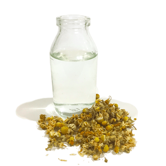 Chamomile Roman Hydrosol - Soap supplies,Soap supplies Canada,Soap supplies Calgary, Soap making kit, Soap making kit Canada, Soap making kit Calgary, Do it yourself soap kit, Do it yourself soap kit Canada,  Do it yourself soap kit Calgary- Soap and More the Learning Centre Inc