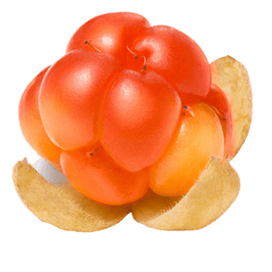 Cloudberry Seed Oil Pesticide Free - Soap supplies,Soap supplies Canada,Soap supplies Calgary, Soap making kit, Soap making kit Canada, Soap making kit Calgary, Do it yourself soap kit, Do it yourself soap kit Canada,  Do it yourself soap kit Calgary- Soap and More the Learning Centre Inc