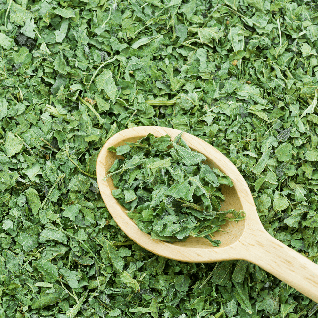 Stinging Nettle Herb Organic - Soap supplies,Soap supplies Canada,Soap supplies Calgary, Soap making kit, Soap making kit Canada, Soap making kit Calgary, Do it yourself soap kit, Do it yourself soap kit Canada,  Do it yourself soap kit Calgary- Soap and More the Learning Centre Inc