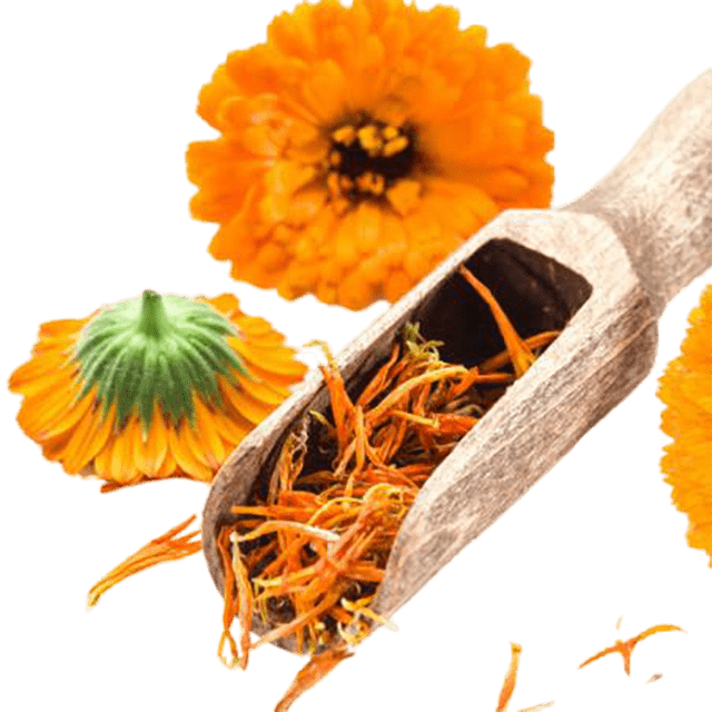 Calendula Petals Organic - Soap supplies,Soap supplies Canada,Soap supplies Calgary, Soap making kit, Soap making kit Canada, Soap making kit Calgary, Do it yourself soap kit, Do it yourself soap kit Canada,  Do it yourself soap kit Calgary- Soap and More the Learning Centre Inc