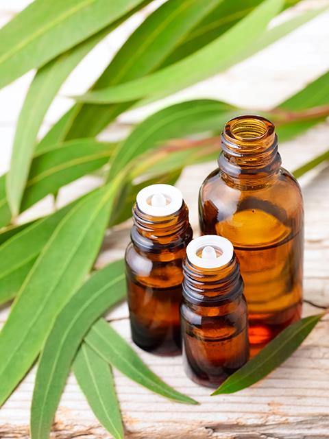 Eucalyptus Lemon Essential Oil - Soap supplies,Soap supplies Canada,Soap supplies Calgary, Soap making kit, Soap making kit Canada, Soap making kit Calgary, Do it yourself soap kit, Do it yourself soap kit Canada,  Do it yourself soap kit Calgary- Soap and More the Learning Centre Inc