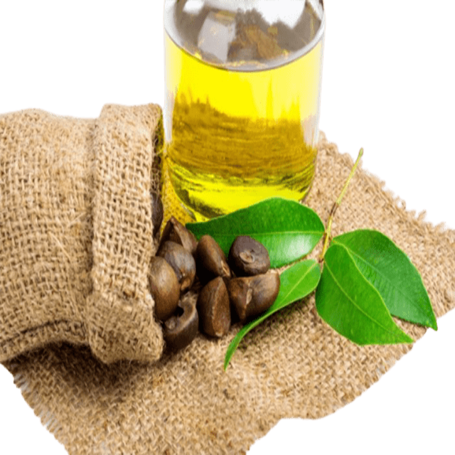 Camellia Seed Oil (Green Tea) Pesticide Free - Soap supplies,Soap supplies Canada,Soap supplies Calgary, Soap making kit, Soap making kit Canada, Soap making kit Calgary, Do it yourself soap kit, Do it yourself soap kit Canada,  Do it yourself soap kit Calgary- Soap and More the Learning Centre Inc