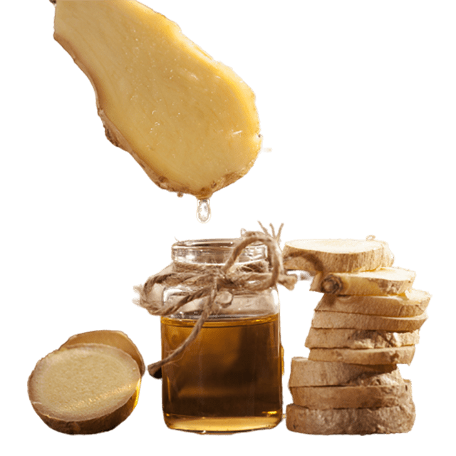 Ginger Essential Oil - Soap supplies,Soap supplies Canada,Soap supplies Calgary, Soap making kit, Soap making kit Canada, Soap making kit Calgary, Do it yourself soap kit, Do it yourself soap kit Canada,  Do it yourself soap kit Calgary- Soap and More the Learning Centre Inc