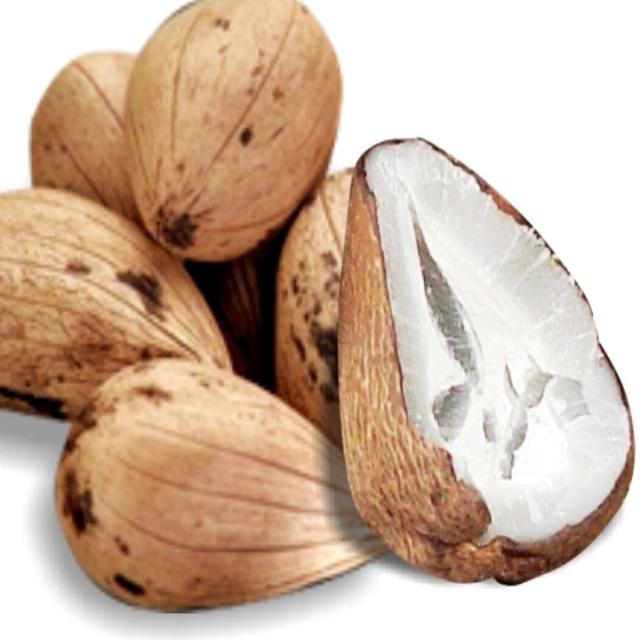 Murumuru Butter Virgin - Soap supplies,Soap supplies Canada,Soap supplies Calgary, Soap making kit, Soap making kit Canada, Soap making kit Calgary, Do it yourself soap kit, Do it yourself soap kit Canada,  Do it yourself soap kit Calgary- Soap and More the Learning Centre Inc