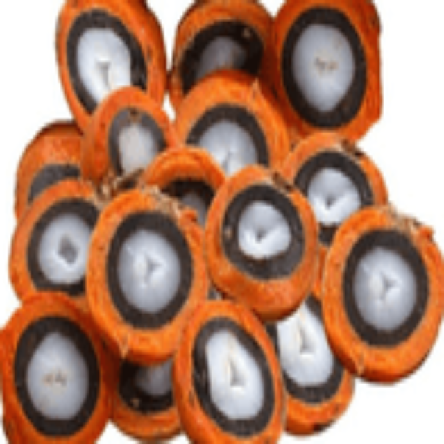 Tucuma Oil Virgin Wild Harvested - Soap supplies,Soap supplies Canada,Soap supplies Calgary, Soap making kit, Soap making kit Canada, Soap making kit Calgary, Do it yourself soap kit, Do it yourself soap kit Canada,  Do it yourself soap kit Calgary- Soap and More the Learning Centre Inc