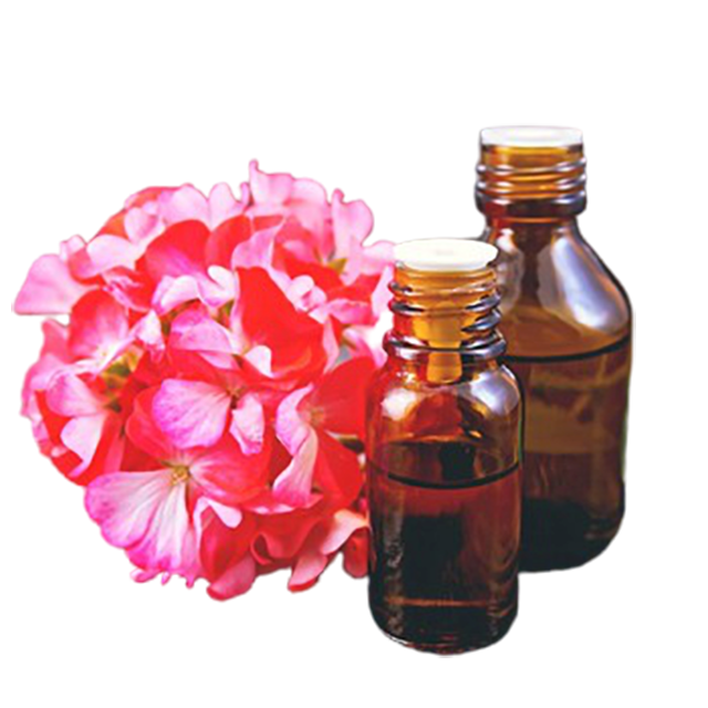 Geranium Essential Oil - Soap supplies,Soap supplies Canada,Soap supplies Calgary, Soap making kit, Soap making kit Canada, Soap making kit Calgary, Do it yourself soap kit, Do it yourself soap kit Canada,  Do it yourself soap kit Calgary- Soap and More the Learning Centre Inc
