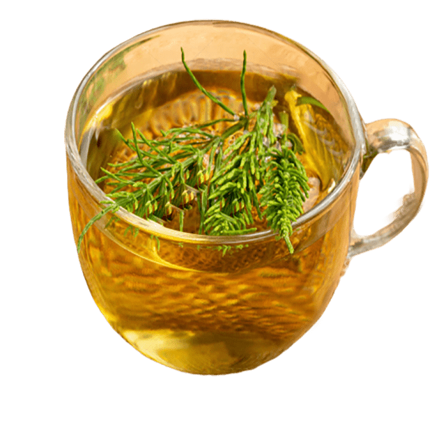 Horsetail Extract Oil Soluble - Soap supplies,Soap supplies Canada,Soap supplies Calgary, Soap making kit, Soap making kit Canada, Soap making kit Calgary, Do it yourself soap kit, Do it yourself soap kit Canada,  Do it yourself soap kit Calgary- Soap and More the Learning Centre Inc