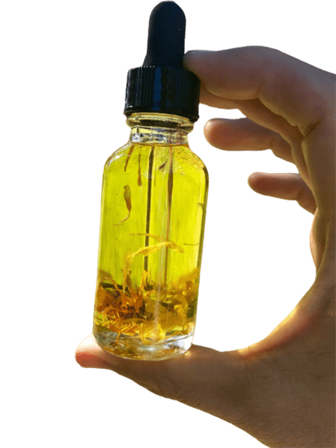 Arnica Infused in Organic Sunflower Oil - Soap supplies,Soap supplies Canada,Soap supplies Calgary, Soap making kit, Soap making kit Canada, Soap making kit Calgary, Do it yourself soap kit, Do it yourself soap kit Canada,  Do it yourself soap kit Calgary- Soap and More the Learning Centre Inc