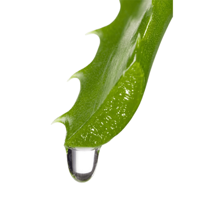 Aloe Vera Juice Organic Extra Strength - Soap supplies,Soap supplies Canada,Soap supplies Calgary, Soap making kit, Soap making kit Canada, Soap making kit Calgary, Do it yourself soap kit, Do it yourself soap kit Canada,  Do it yourself soap kit Calgary- Soap and More the Learning Centre Inc