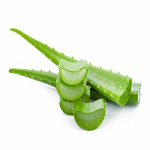 aloe vera plant calgary Aloe Vera Infused Oil