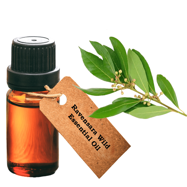 Ravensara Wild Essential Oil - Soap supplies,Soap supplies Canada,Soap supplies Calgary, Soap making kit, Soap making kit Canada, Soap making kit Calgary, Do it yourself soap kit, Do it yourself soap kit Canada,  Do it yourself soap kit Calgary- Soap and More the Learning Centre Inc