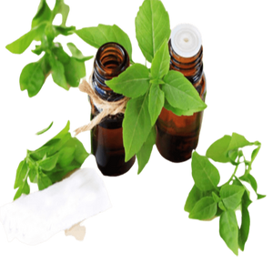 Basil Essential Oil - Soap supplies,Soap supplies Canada,Soap supplies Calgary, Soap making kit, Soap making kit Canada, Soap making kit Calgary, Do it yourself soap kit, Do it yourself soap kit Canada,  Do it yourself soap kit Calgary- Soap and More the Learning Centre Inc