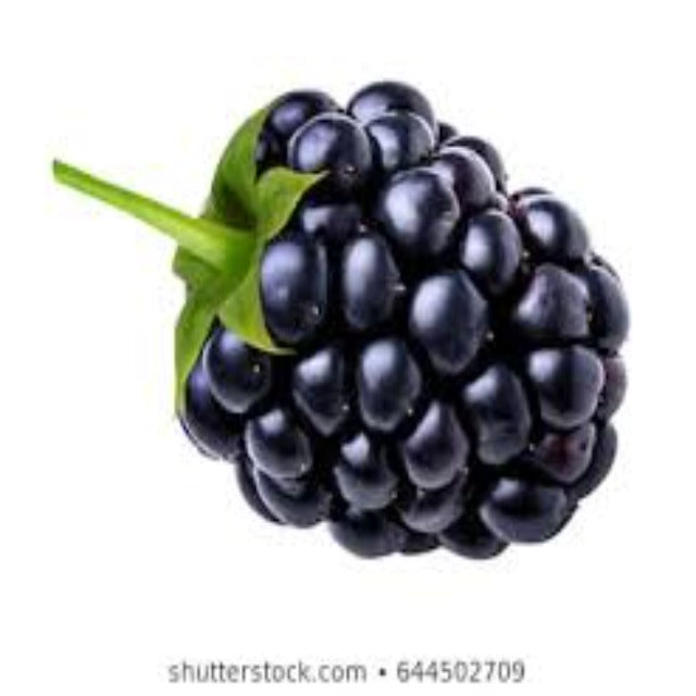 Blackberry Seed Oil Organic Virgin - Soap supplies,Soap supplies Canada,Soap supplies Calgary, Soap making kit, Soap making kit Canada, Soap making kit Calgary, Do it yourself soap kit, Do it yourself soap kit Canada,  Do it yourself soap kit Calgary- Soap and More the Learning Centre Inc