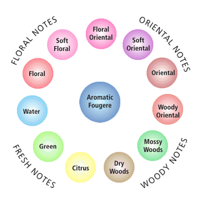 Bath Bomb Making Kit