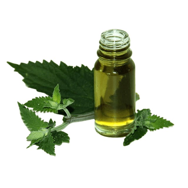 Catnip Essential Oil Canada 80% Nepetalactone - Soap supplies,Soap supplies Canada,Soap supplies Calgary, Soap making kit, Soap making kit Canada, Soap making kit Calgary, Do it yourself soap kit, Do it yourself soap kit Canada,  Do it yourself soap kit Calgary- Soap and More the Learning Centre Inc