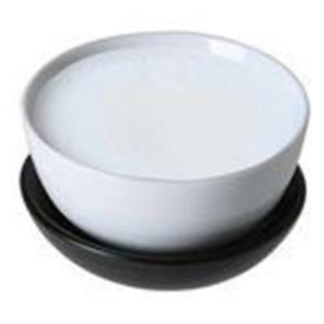 Ceramide Complex Ultra Coming Soon - Soap supplies,Soap supplies Canada,Soap supplies Calgary, Soap making kit, Soap making kit Canada, Soap making kit Calgary, Do it yourself soap kit, Do it yourself soap kit Canada,  Do it yourself soap kit Calgary- Soap and More the Learning Centre Inc