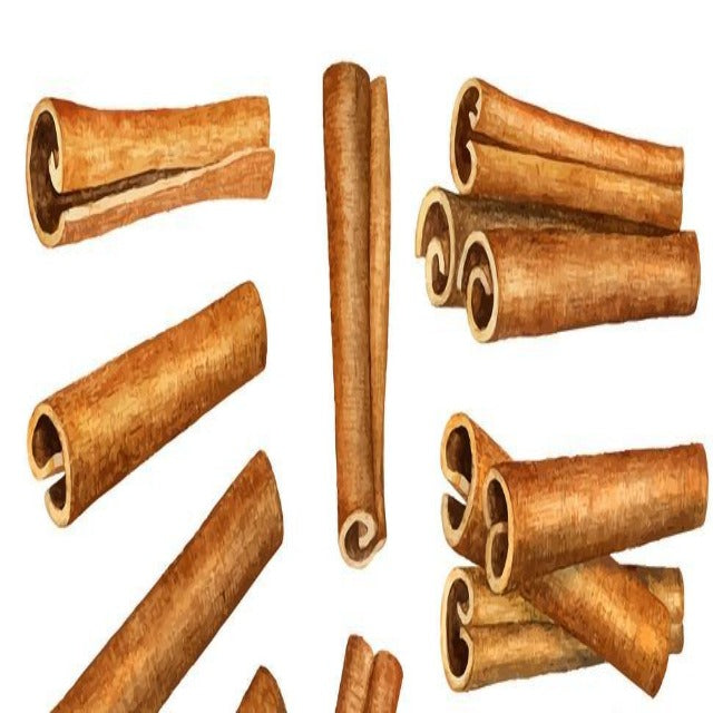 Cinnamon Bark Ceylon Organic Essential Oil - Soap supplies,Soap supplies Canada,Soap supplies Calgary, Soap making kit, Soap making kit Canada, Soap making kit Calgary, Do it yourself soap kit, Do it yourself soap kit Canada,  Do it yourself soap kit Calgary- Soap and More the Learning Centre Inc