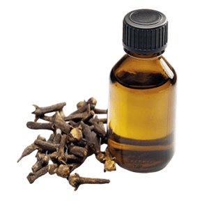 Clove Leaf Essential Oil - Soap supplies,Soap supplies Canada,Soap supplies Calgary, Soap making kit, Soap making kit Canada, Soap making kit Calgary, Do it yourself soap kit, Do it yourself soap kit Canada,  Do it yourself soap kit Calgary- Soap and More the Learning Centre Inc