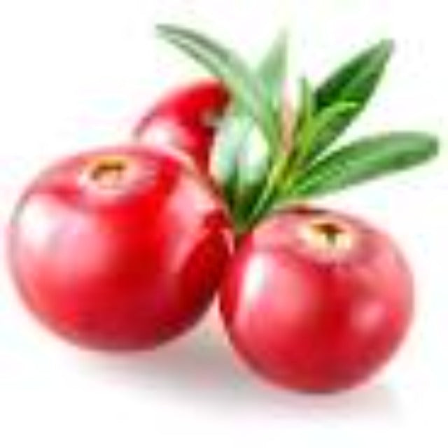 Cranberry Seed Oil Virgin