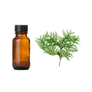 Cypress Essential Oil - Soap supplies,Soap supplies Canada,Soap supplies Calgary, Soap making kit, Soap making kit Canada, Soap making kit Calgary, Do it yourself soap kit, Do it yourself soap kit Canada,  Do it yourself soap kit Calgary- Soap and More the Learning Centre Inc