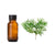 Cypress Essential Oil - Soap supplies,Soap supplies Canada,Soap supplies Calgary, Soap making kit, Soap making kit Canada, Soap making kit Calgary, Do it yourself soap kit, Do it yourself soap kit Canada,  Do it yourself soap kit Calgary- Soap and More the Learning Centre Inc