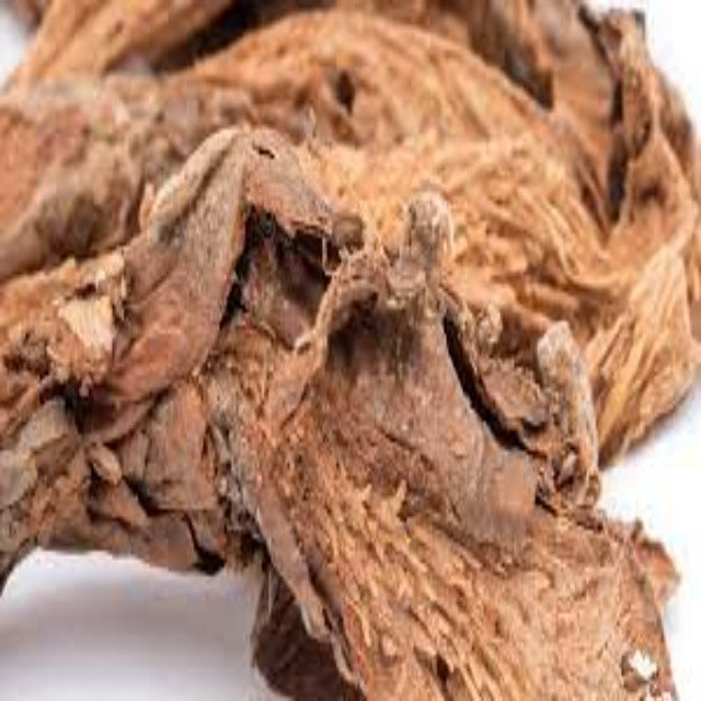 Ghandi Root Essential Oil